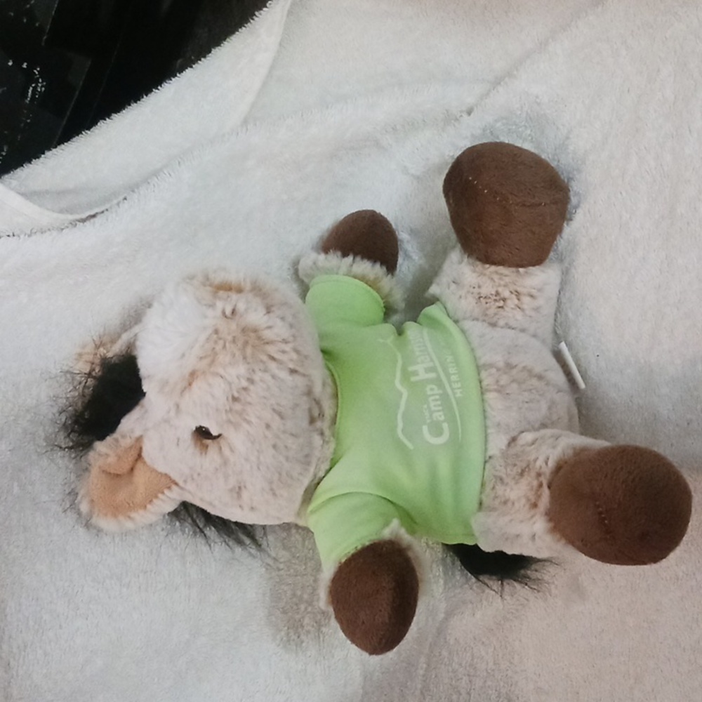 T.A.G. Glenky's horse Alexon camp toy